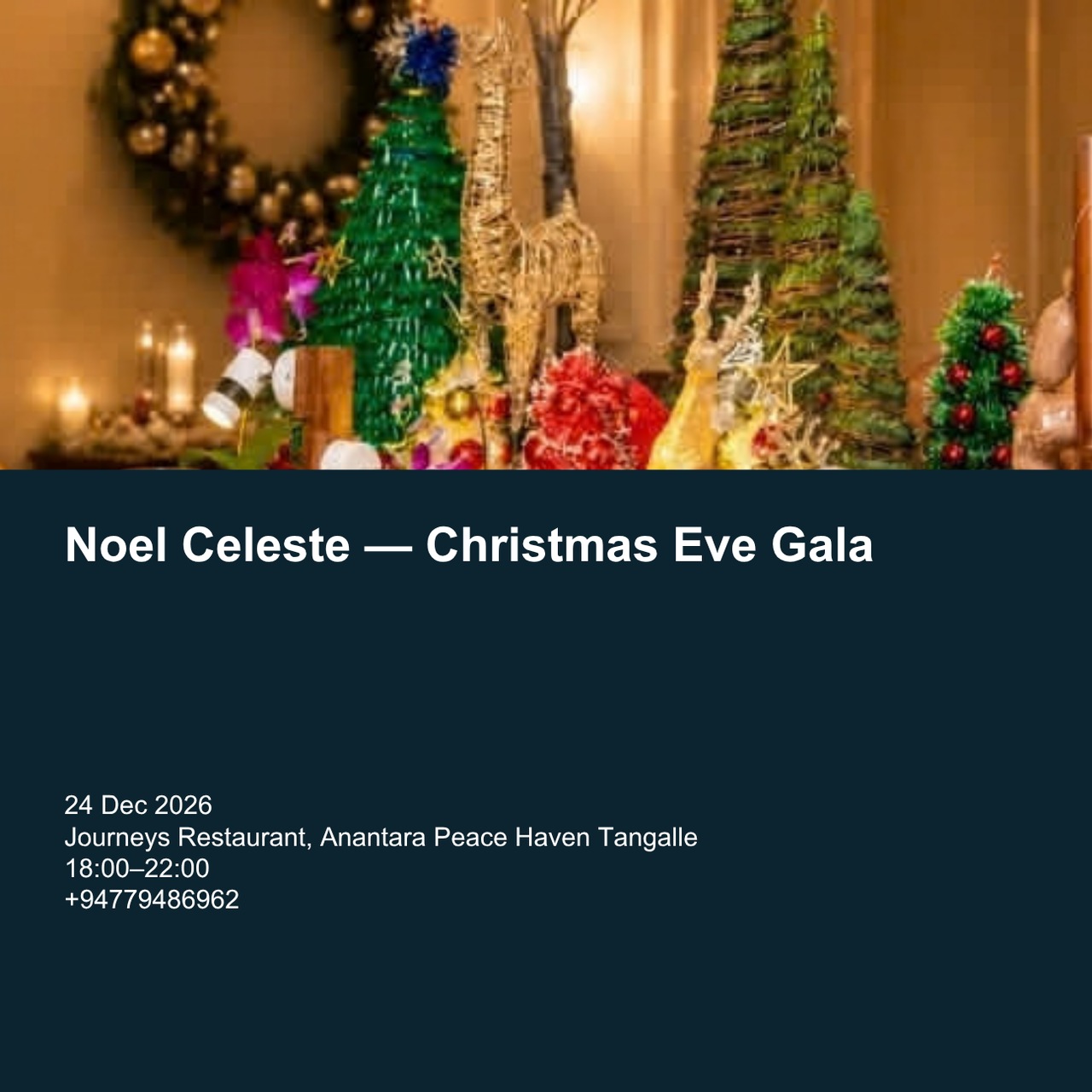Noel Celeste — Christmas Eve Gala