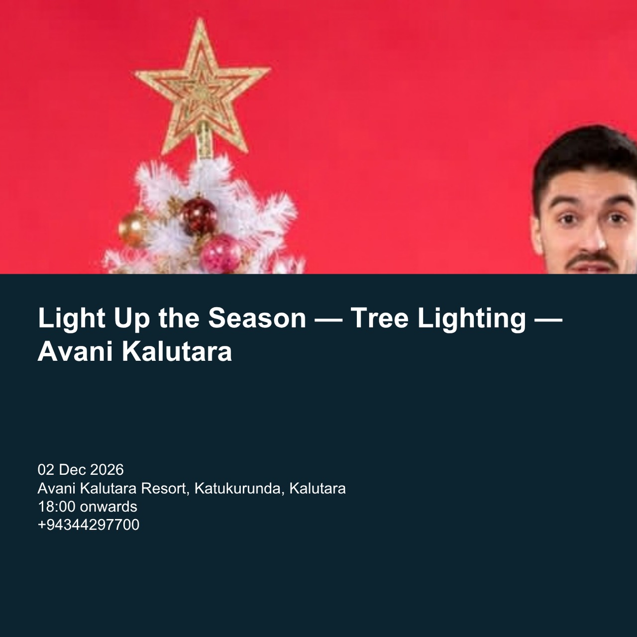 Light Up the Season — Tree Lighting — Avani Kalutara